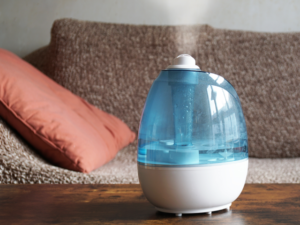 5030844c-bb64-40e0-9292-6fefb34aca47-Humidifier-CV