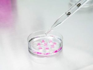 Pakistans-first-industrial-biotechnology-park-will-be-set-up-in
